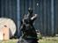Labrador retriever Zindy