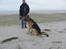 Schæferhund Kento...R.I.P.
