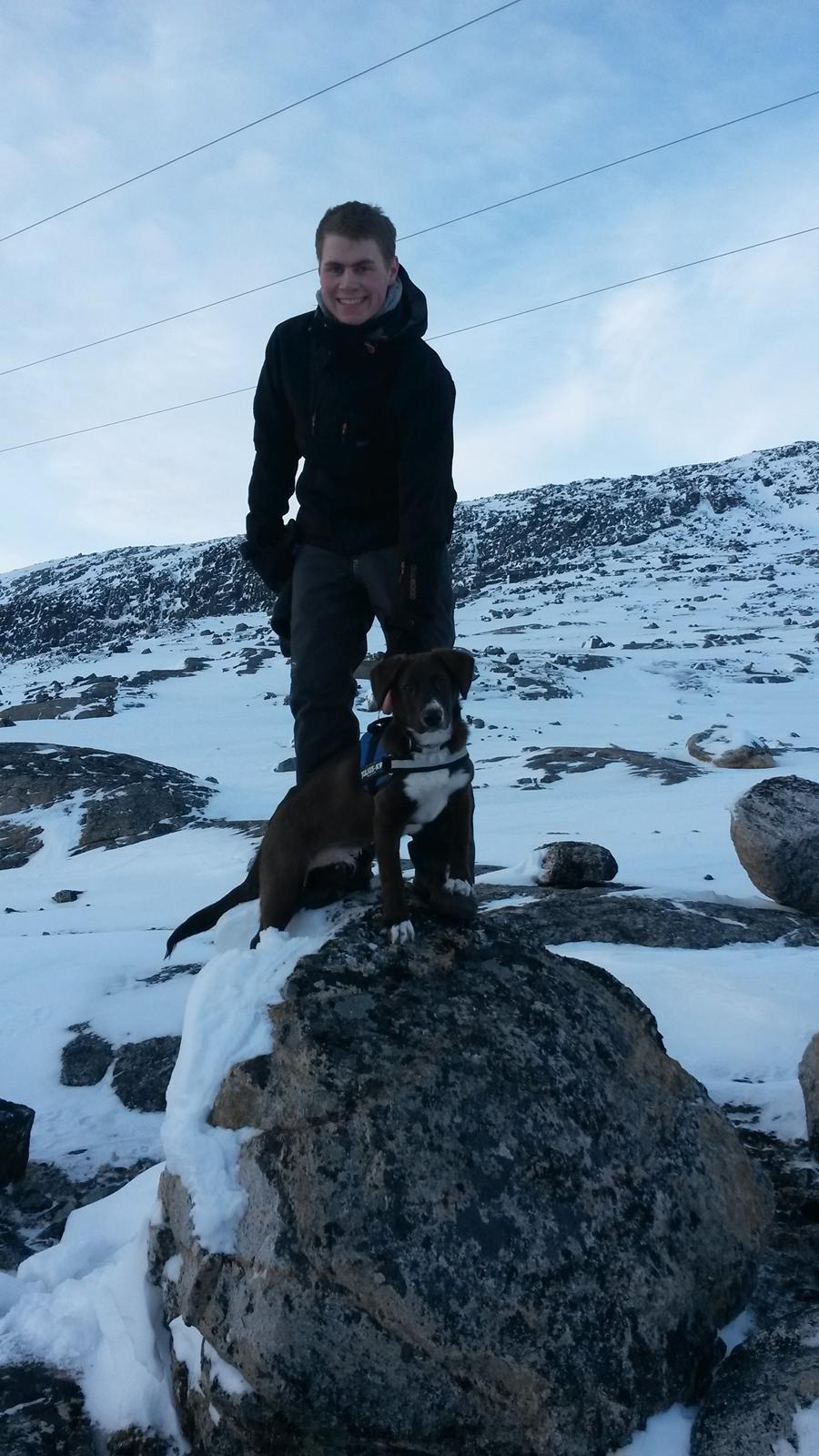 Grønlandshund - Bob - Vandretur på Grønland ( 6 Måneder gammel ) billede 4