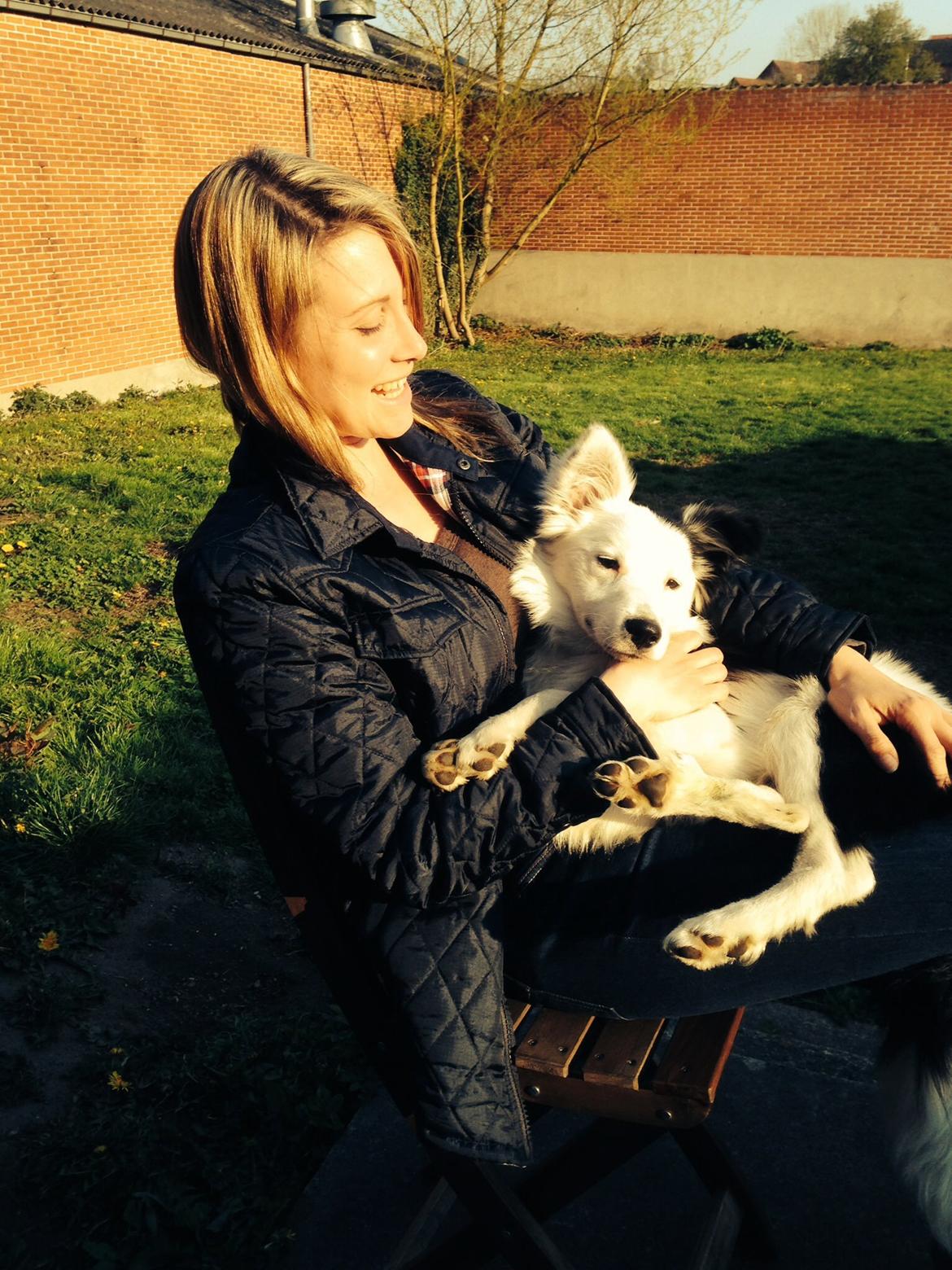 Blanding af racer Odin billede 13