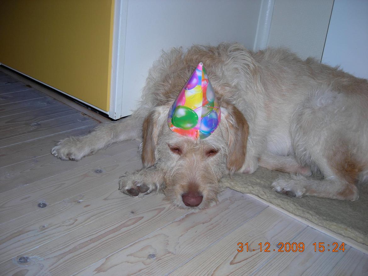 Blanding af racer Sally billede 2