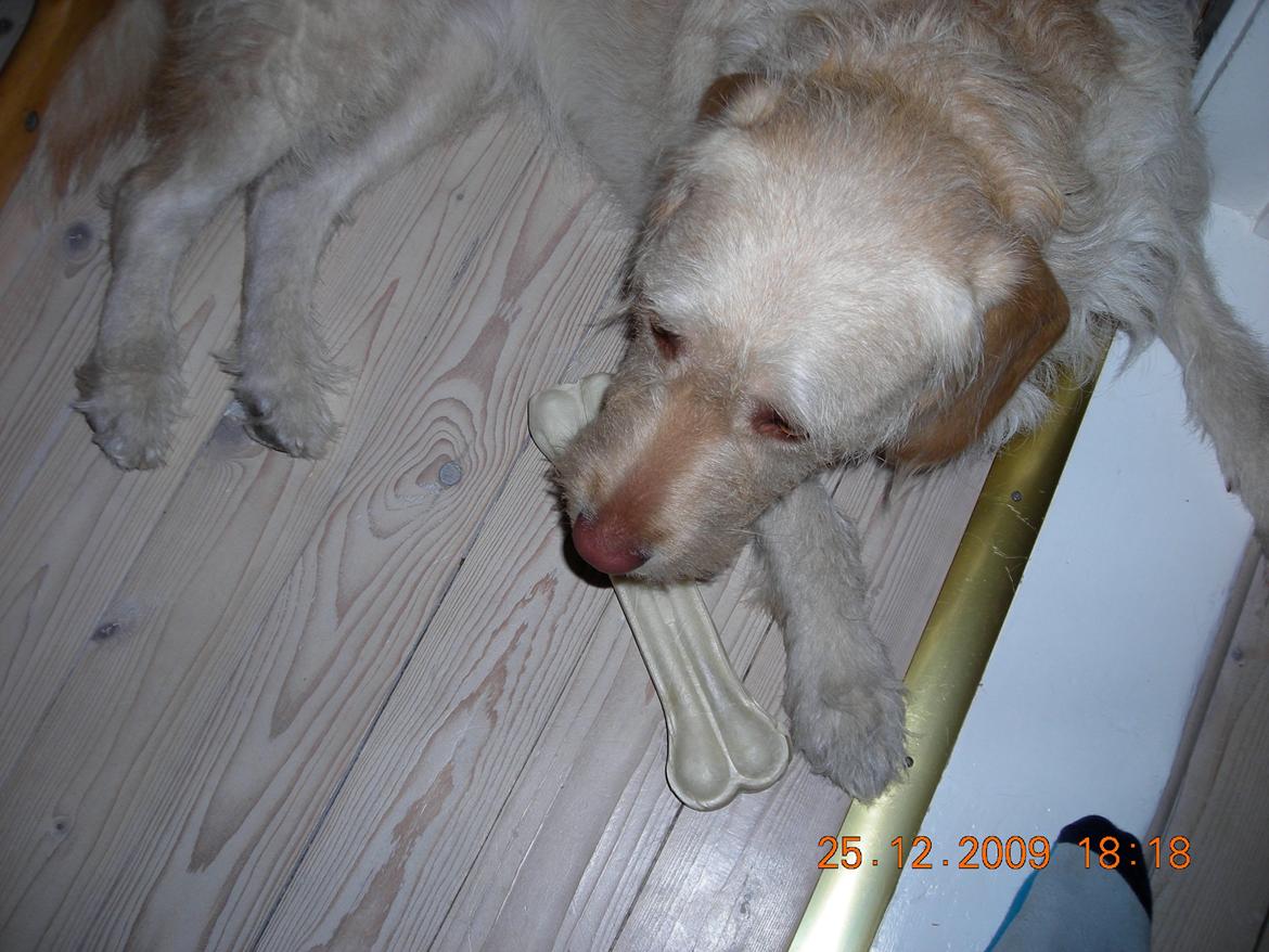 Blanding af racer Sally billede 7