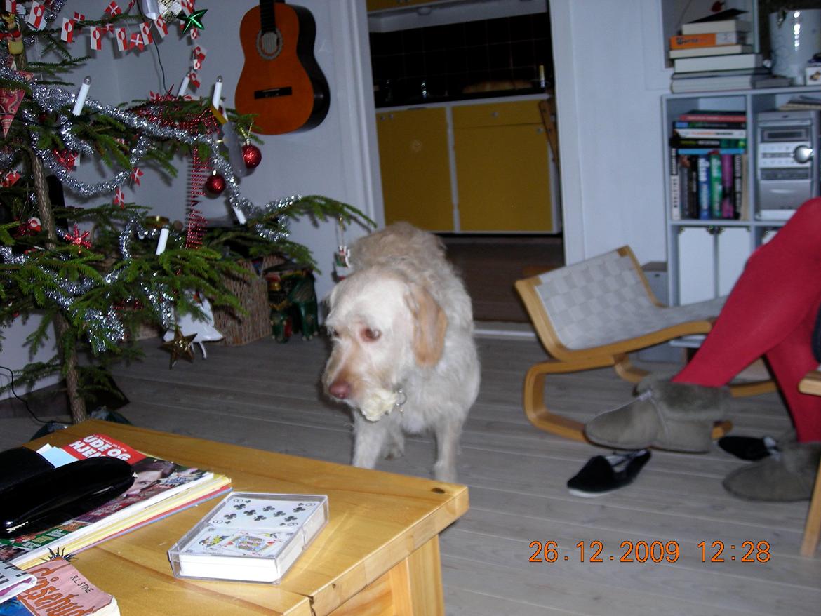 Blanding af racer Sally billede 9