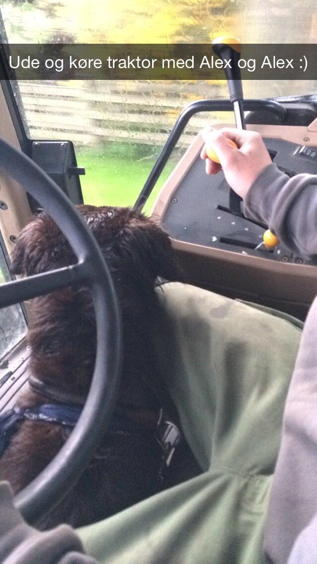 Blanding af racer Alex billede 9