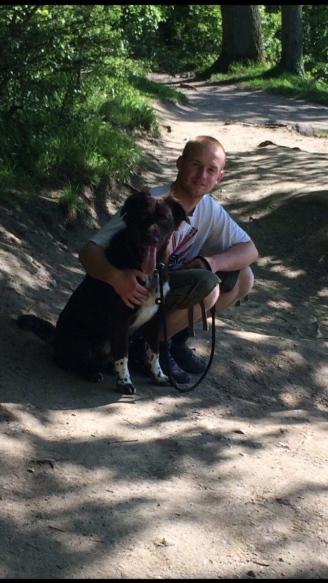 Blanding af racer Alex billede 8