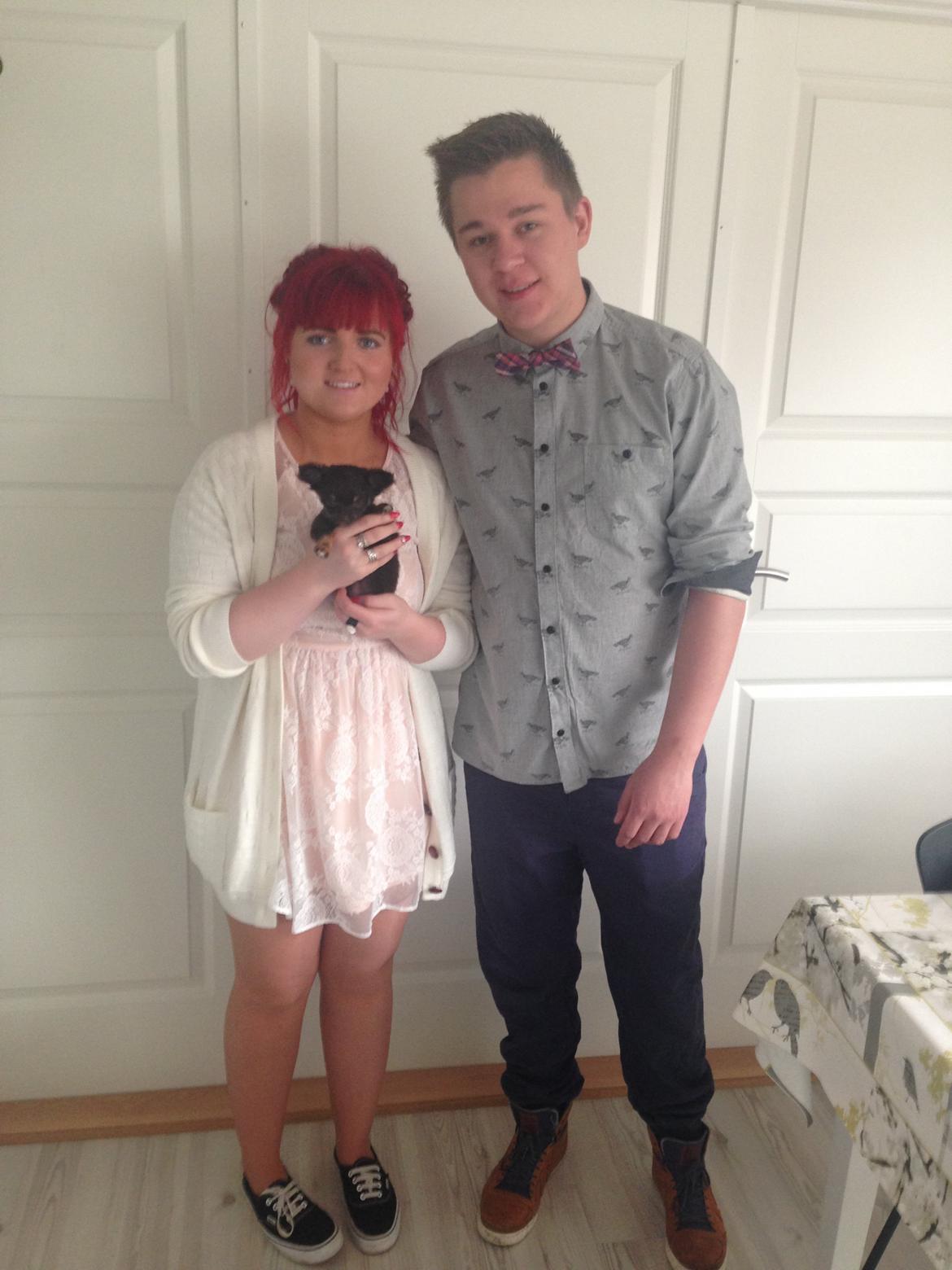 Chihuahua Nugget - Far, mor og lillepigen.  billede 22