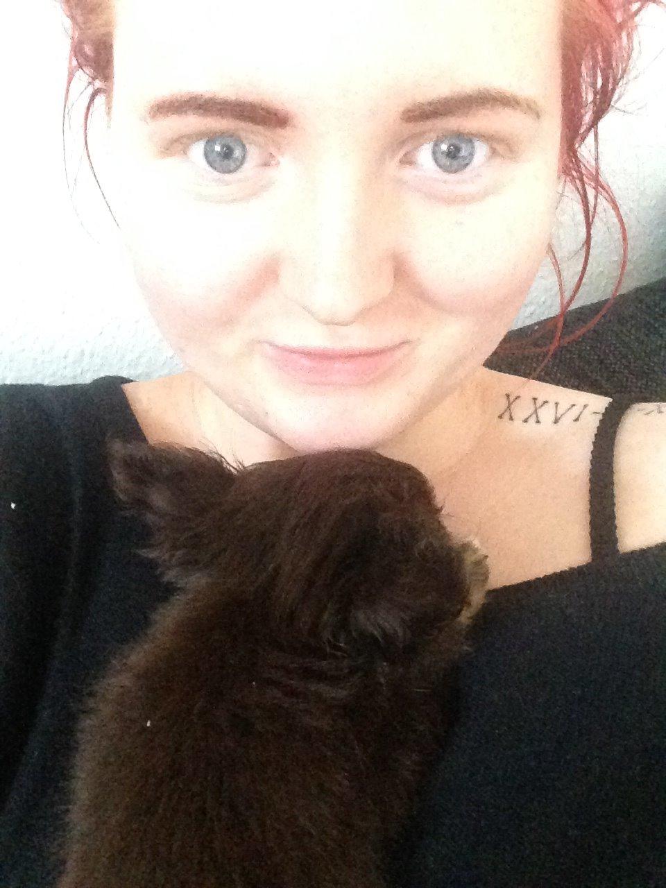 Chihuahua Nugget - Biggest love in the whole world, hun elsker at putte hos Line, og hun elsker at Nugget putter hos hende.  billede 23