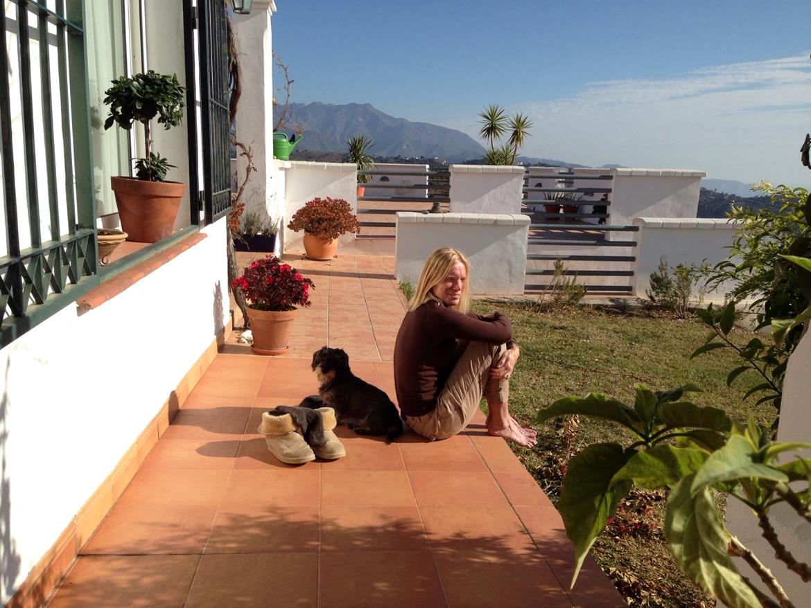 Miniature gravhund Egesgave's Wiggo billede 19