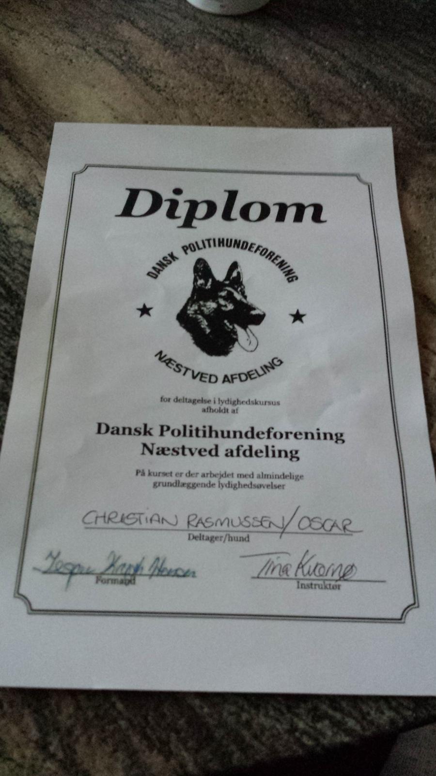 Blanding af racer Oscar billede 25