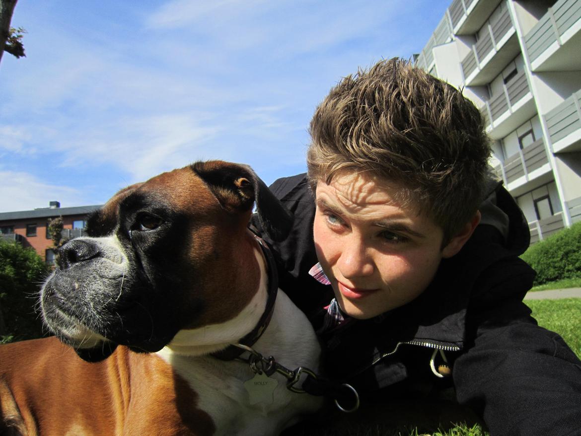 Boxer Molly billede 1