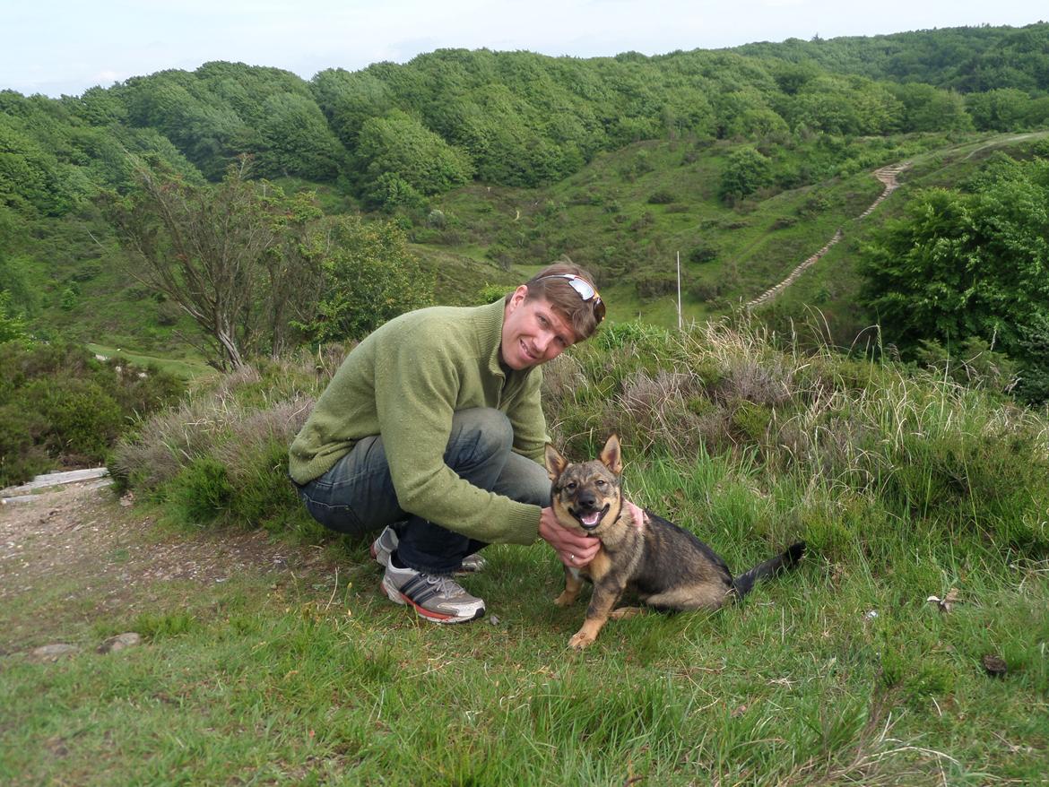 Västgötaspids Yuki <3 <3 (Clasus Miller). - Yuki og min mand i Rebild bakker <3 24 maj 2014 billede 23