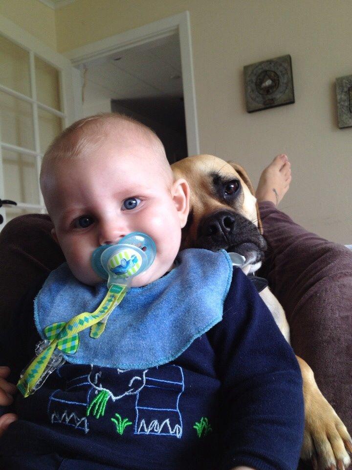 Blanding af racer Liam billede 12