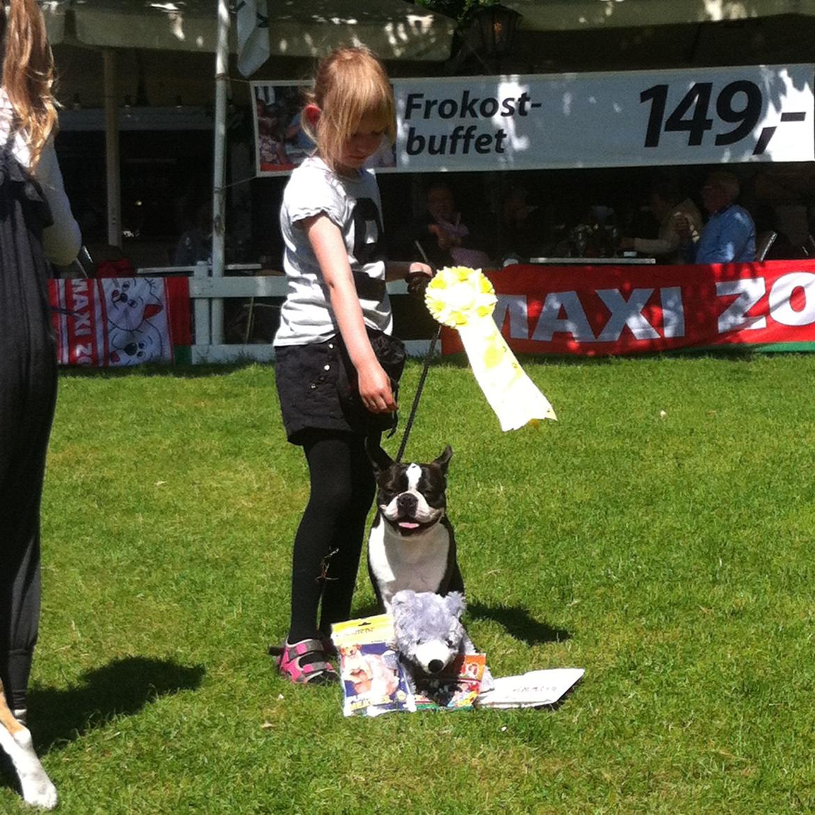 Boston terrier Multi-CH Westlund As Good As It Gets aka Pepsi - Malia og Pepsi BIS3, Barn og hund på Bakken 2014 billede 44