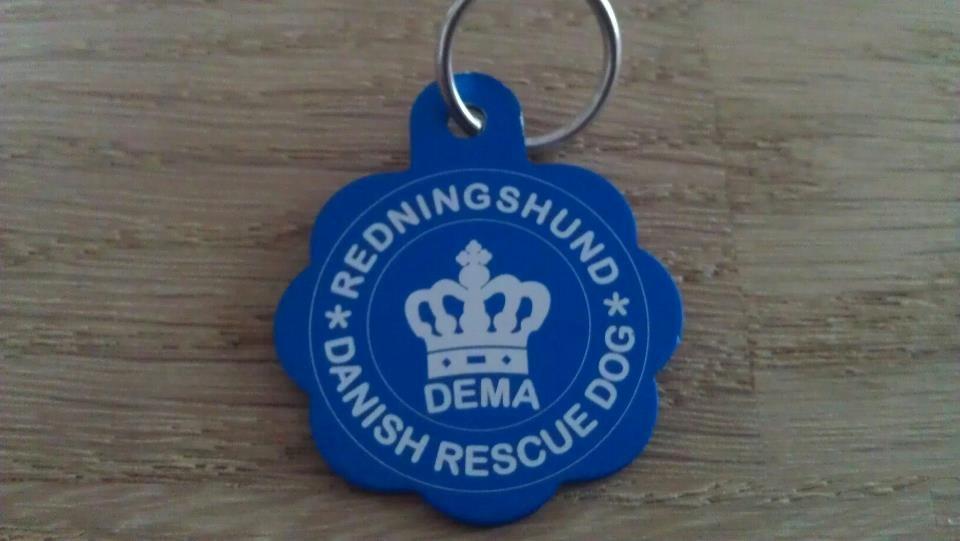 Labrador retriever Fümeé - Fümeé's fine bevis på *Redningshund* billede 11