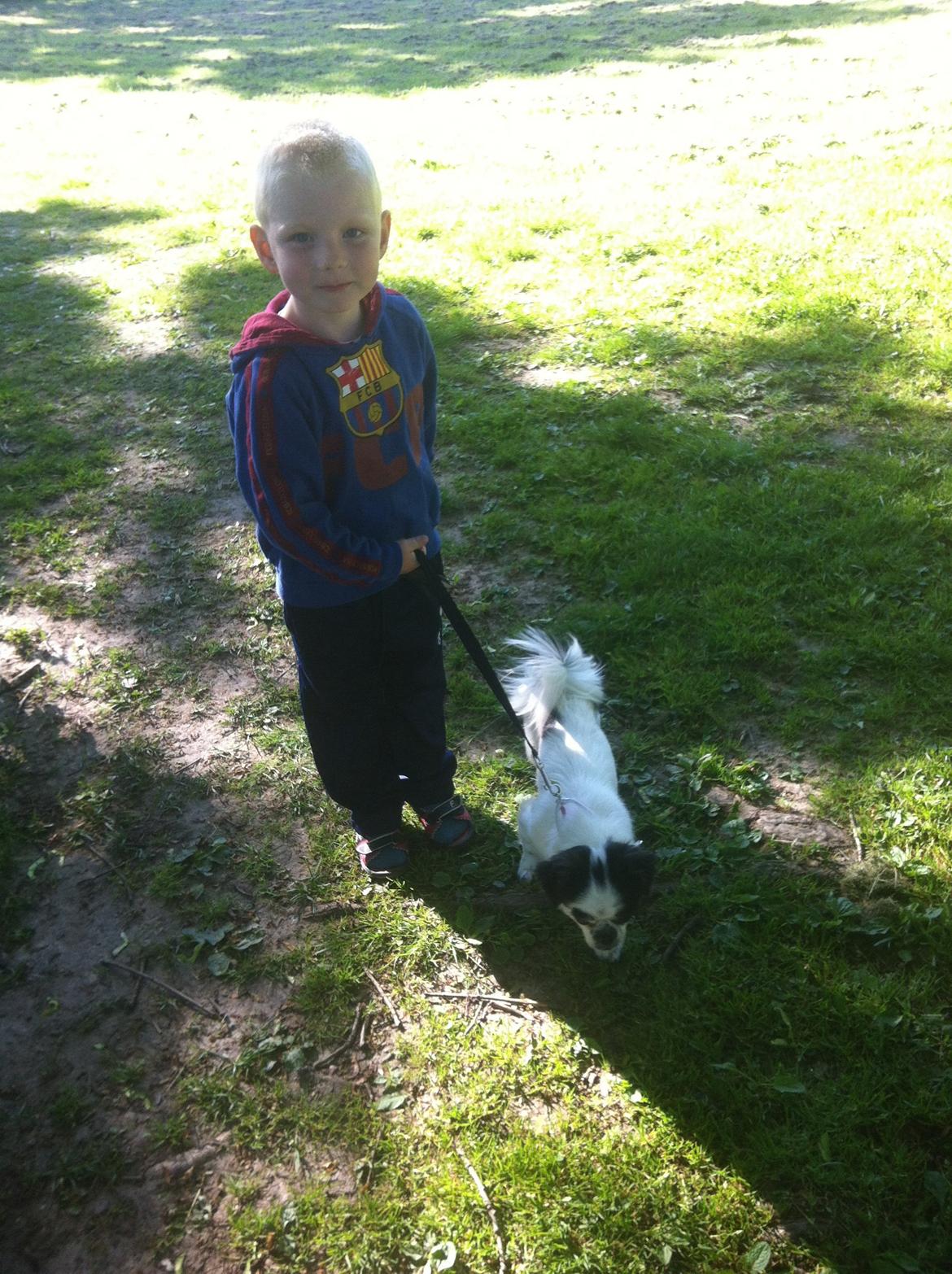 Japanese Bella billede 3