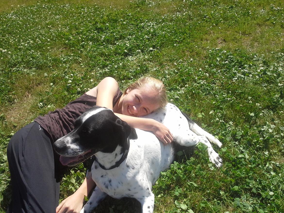 Blanding af racer Freja billede 6