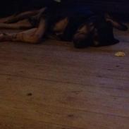 Blanding af racer Rufus