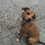 Blanding af racer Masha 