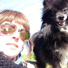 Pomeranian Xibalba (xiba)