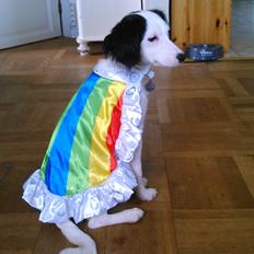 Blanding af racer Milla