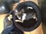 Chihuahua Lucky R.I.P - Lucky der leger i hans kurv