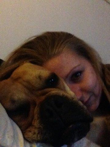 Olde english bulldogge Kida billede 2