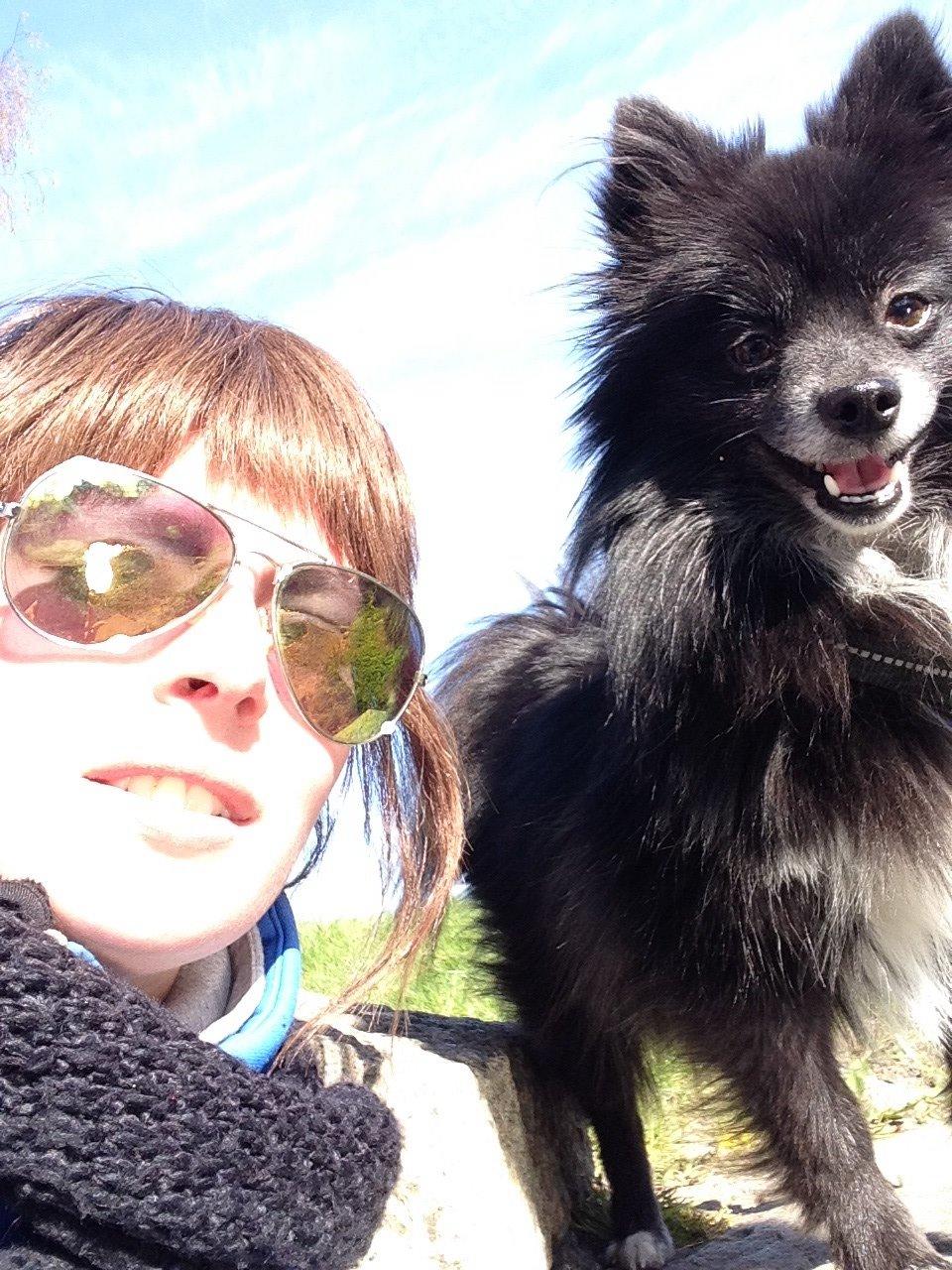 Pomeranian Xibalba (xiba) billede 2