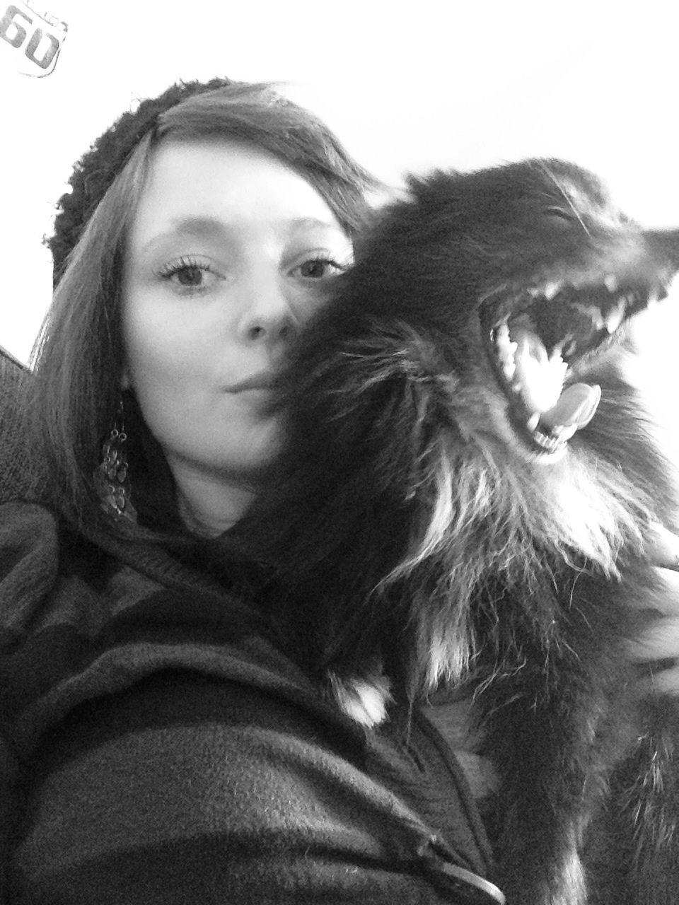 Pomeranian Xibalba (xiba) billede 3