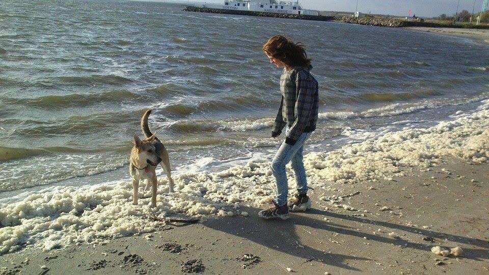 Blanding af racer Jack billede 32