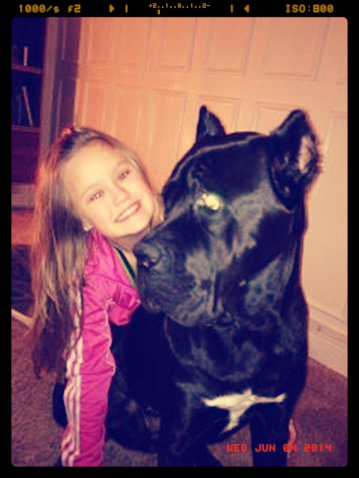 Cane corso Chili - Åh min dejlig Chili! <3 billede 5