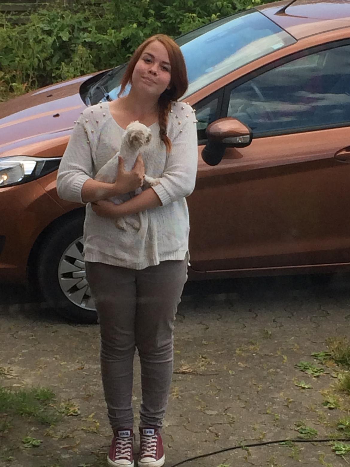 Shih tzu Alma - Så nåede vi Århus :) billede 5