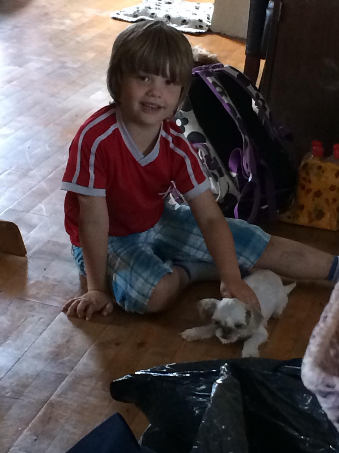 Shih tzu Alma - Alma og Christian elsker hinanden<3<3 billede 8