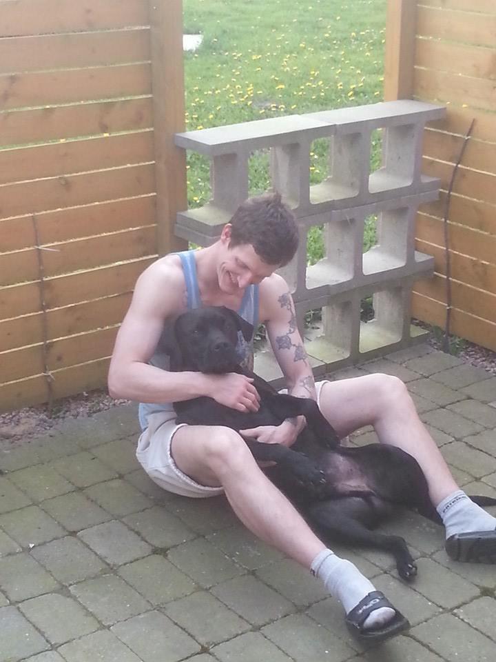 Blanding af racer King billede 14