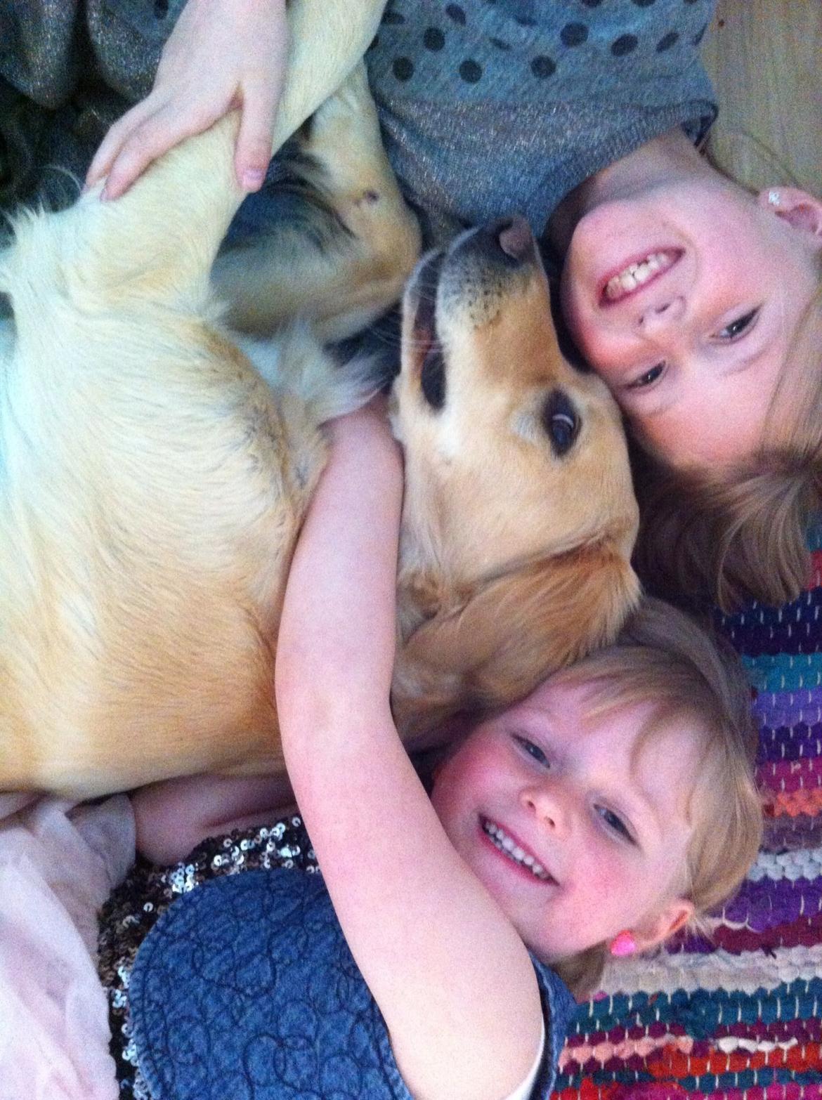 Blanding af racer Trille billede 8