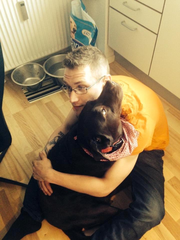 Labrador retriever Nanna * 7 år. billede 10