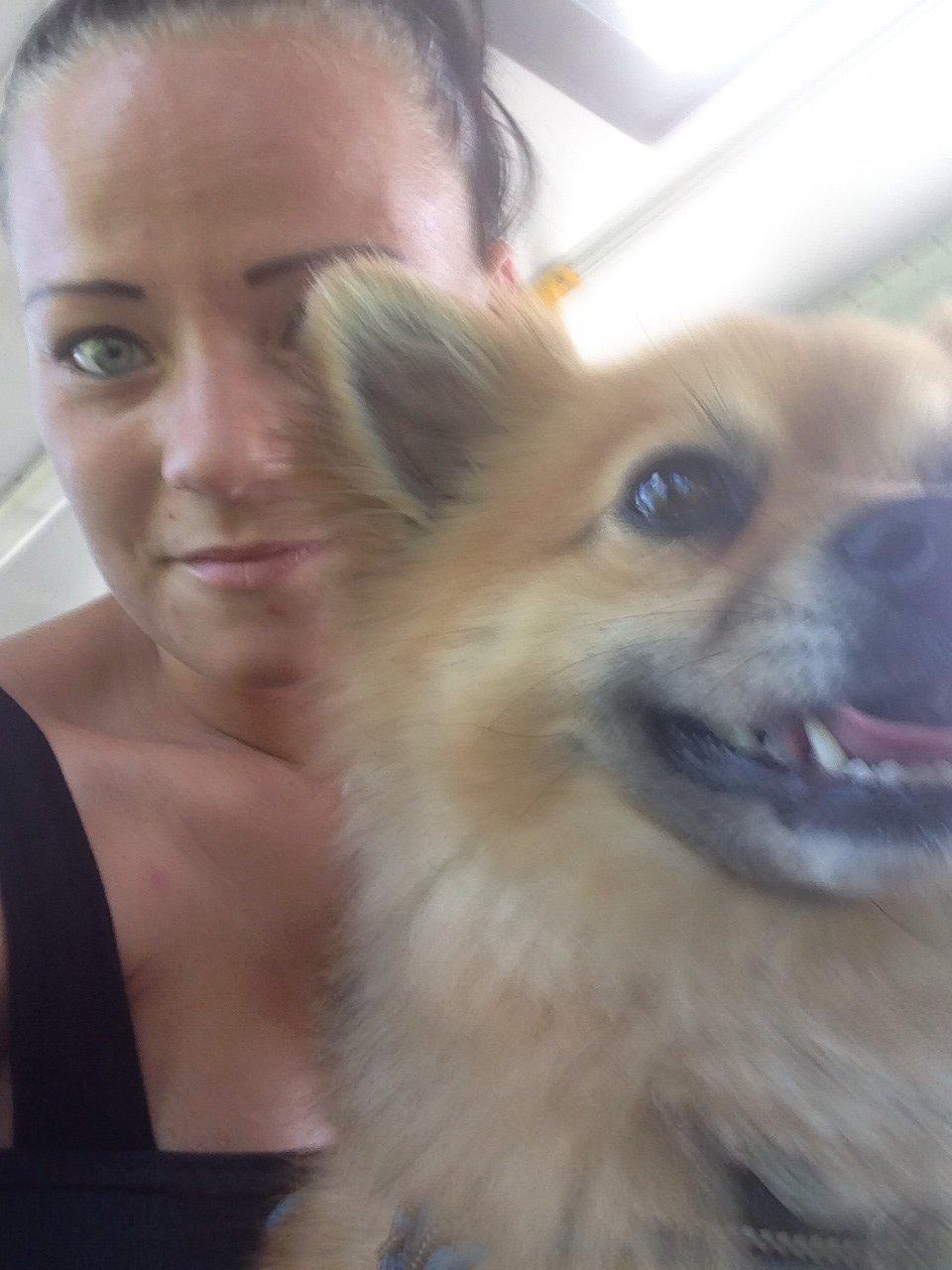 Blanding af racer Silas billede 28