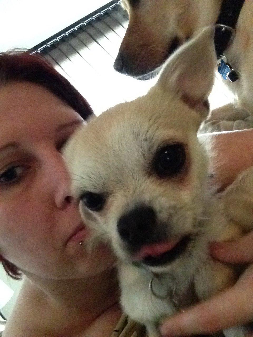 Blanding af racer Amarni billede 16