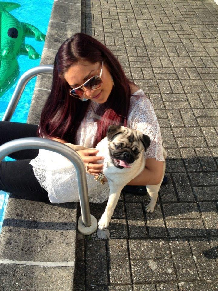 Mops Muffin billede 18