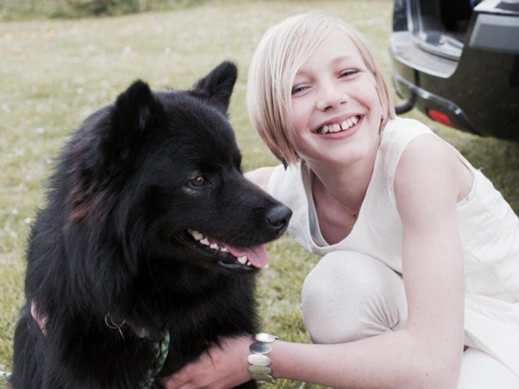 Finsk lapphund Matti - konfirmation det klarede han rigtig godt. billede 6