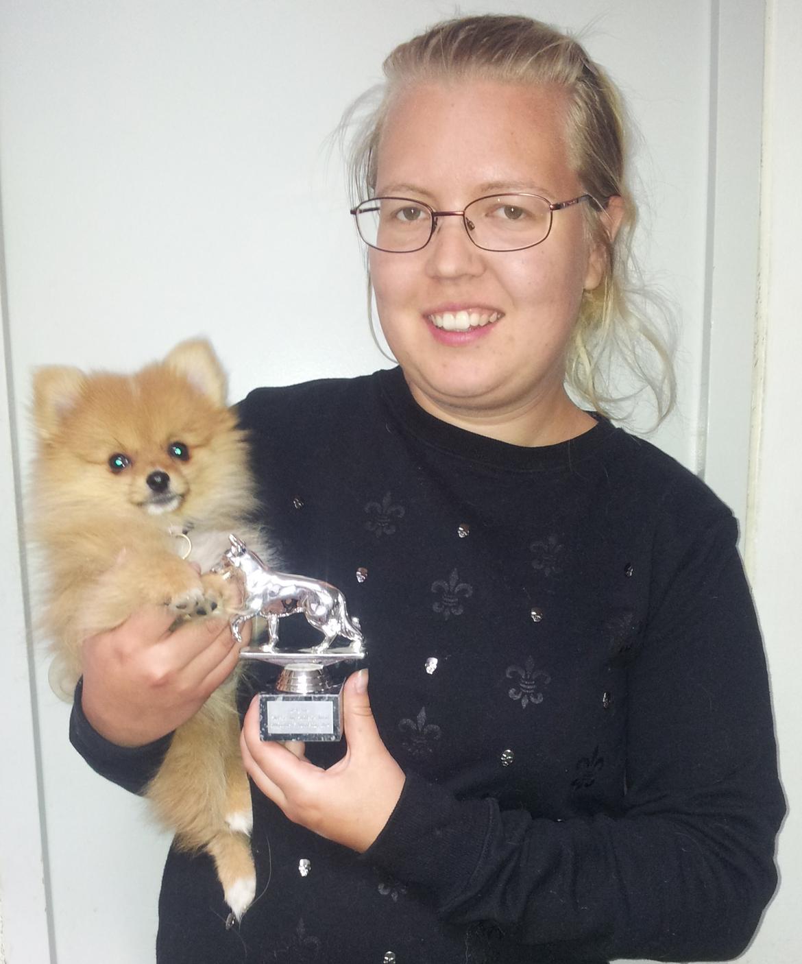 Pomeranian Ane's Alma billede 8