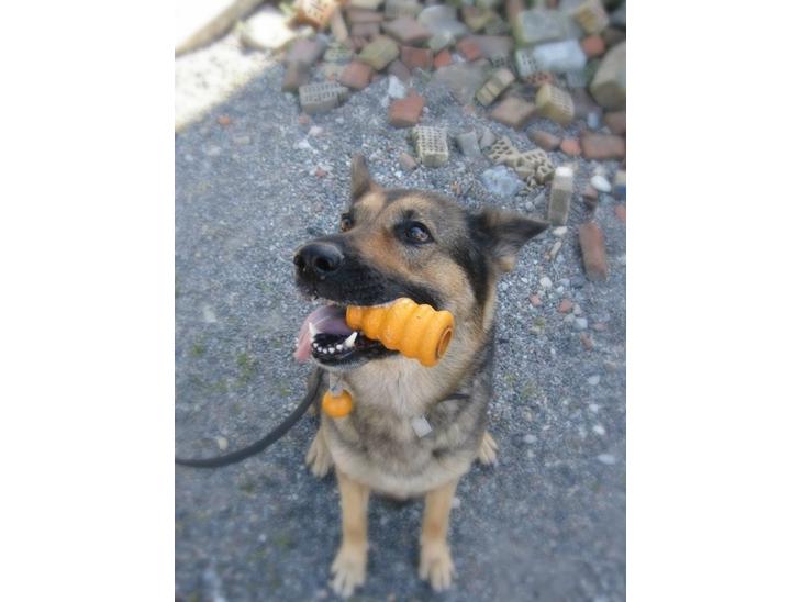 {{currentPhoto.altText}} billede {{currentPhoto.number}}