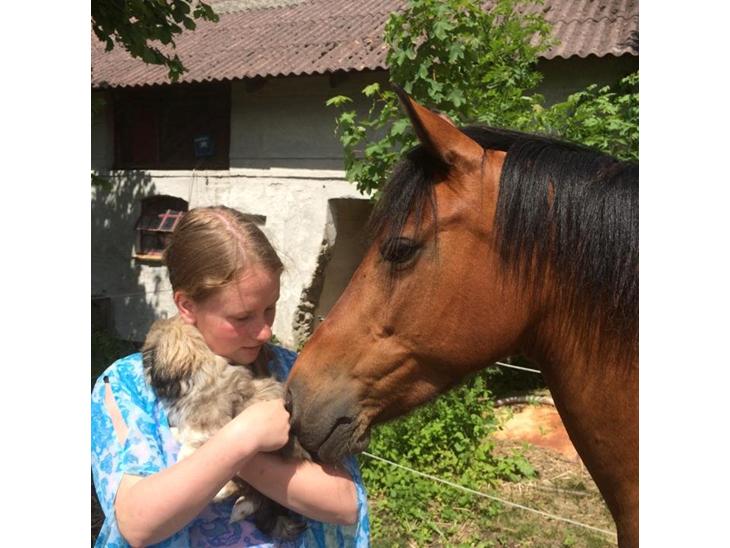 {{currentPhoto.altText}} billede {{currentPhoto.number}}