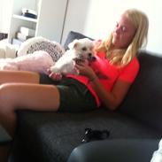 Malteser Malte