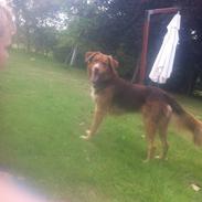 Blanding af racer Conrad