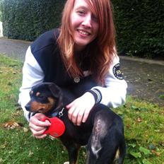 Blanding af racer Pika