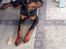 Rottweiler Tiva