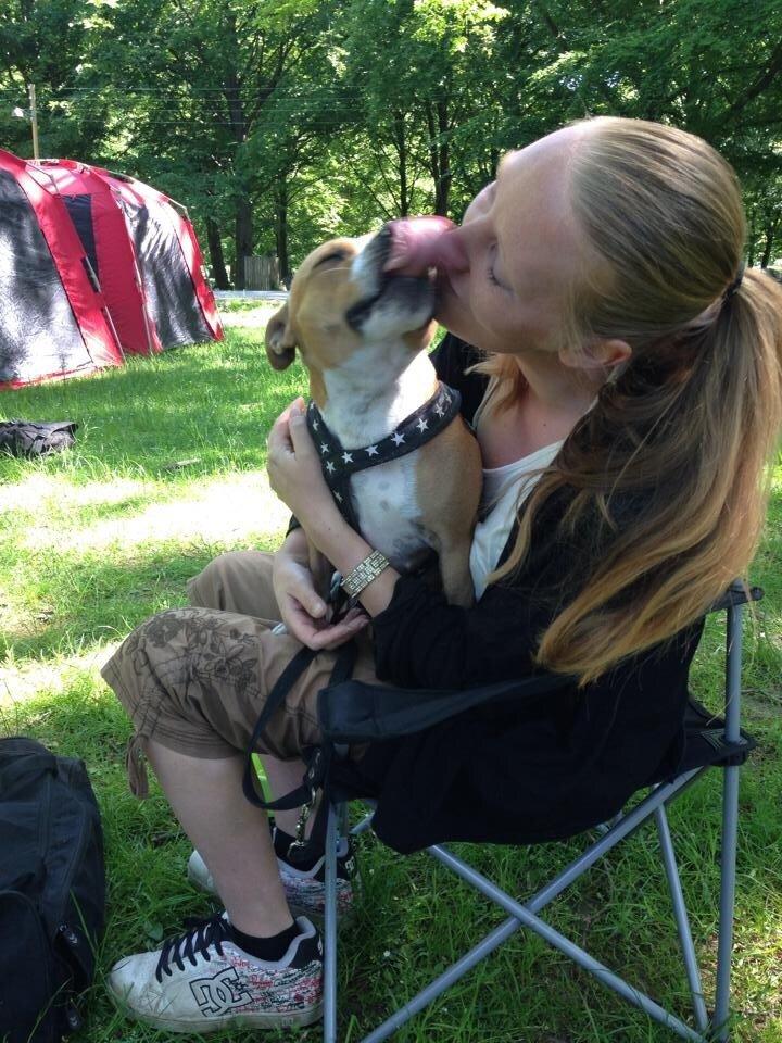 Staffordshire bull terrier Wenk Staff' s Legacy Of Buffy "CeCe" billede 2