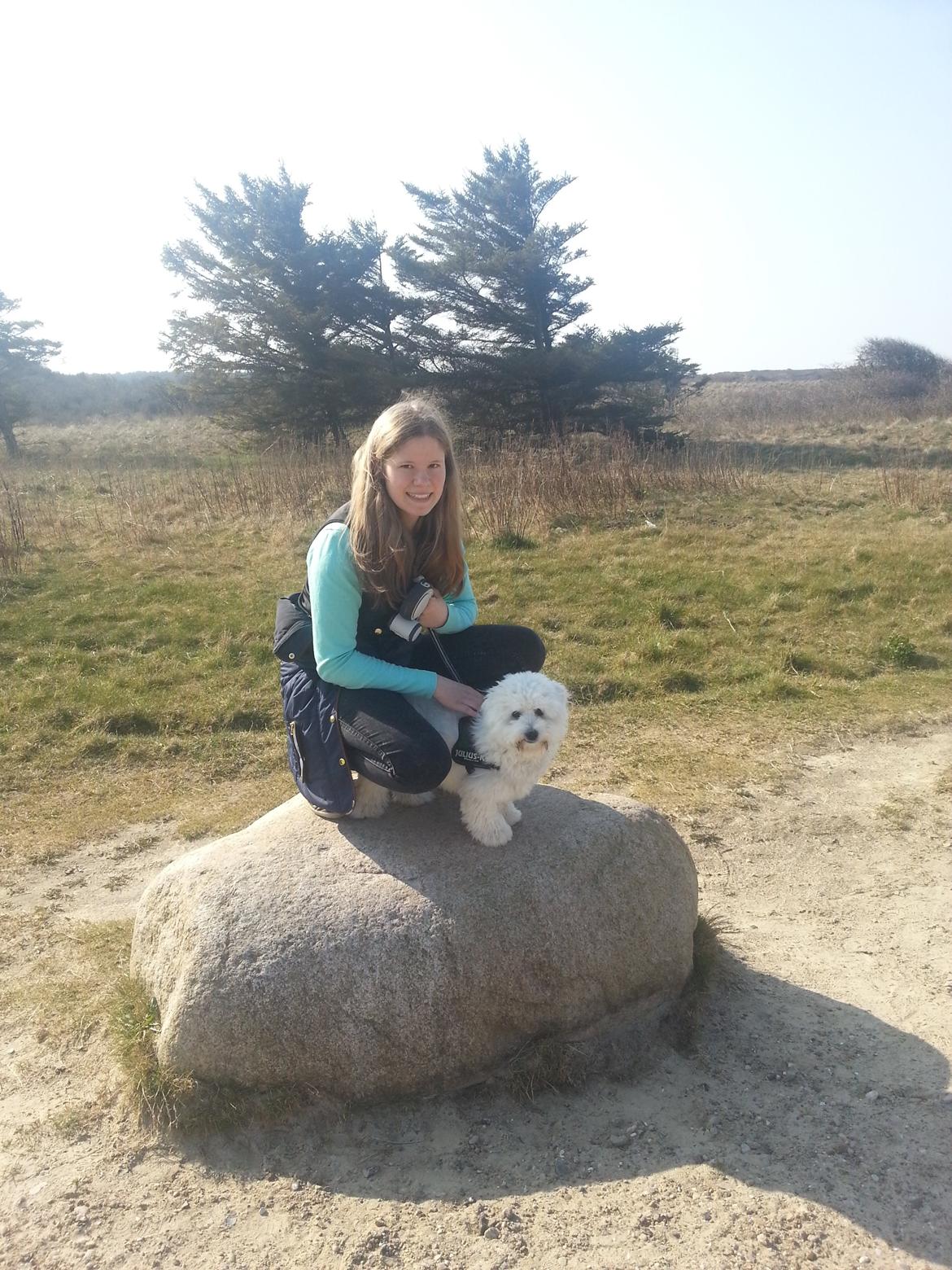 Coton de tulear Lucky - En weekend hvor vi var i sommerhus billede 4