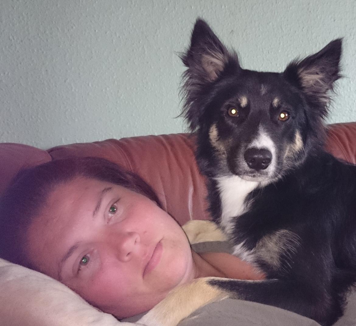 Blanding af racer Baloo - hygger med min meneske mor billede 25