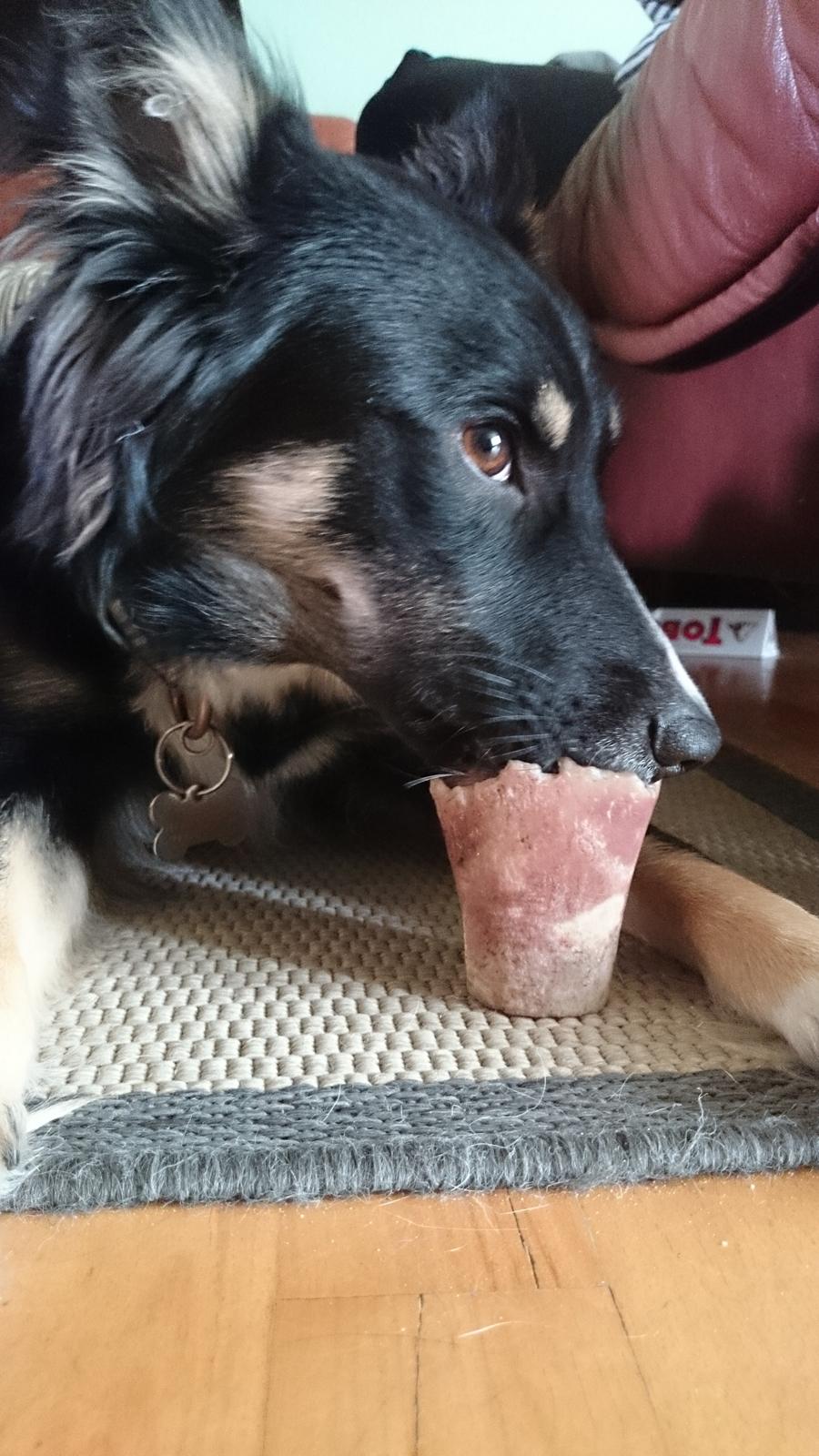 Blanding af racer Baloo - mit okse kraft ben mums billede 31